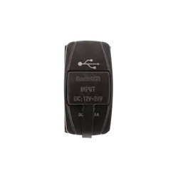 Switch Size Dual Usb