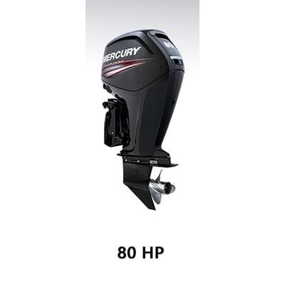 Mercury 4 Stroke 4 Cyl 2.1L 75-115Hp Full Cover (L)20In/508mm Leg (2014>)