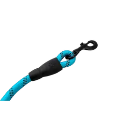 Navigator Dog Leash Buddy