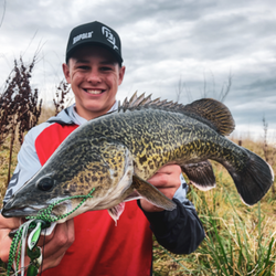 Rapala Rap-V Pike Bladed Jig 21G Baby Bass