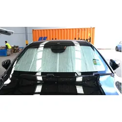 Polestar 2 Car Rear Window Shades (2020-Present)*