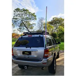 Rgb 5Ft Whip W/ Remote & App Control