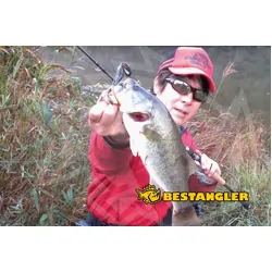 Decoy 401545 Zero Dan Flash Offset ZF1S #1/0 7g Box 1