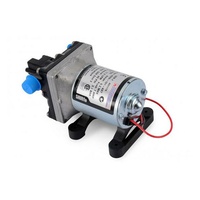 Shurflo 12v 4009 Water Pump & Twist On Filter Pack
