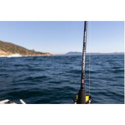 PENN Regiment Black Ops II REGBO-SP 702L 2-4kg - Spin