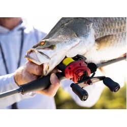 Abu Garcia Revo Rocket Baitcaster Reel