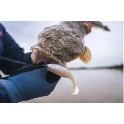 Berkley PowerBait Paddlestinger Soft Plastic 3inch Electric Shad