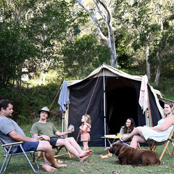 Black Wolf Turbo Lite 240