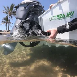 C-Tug Dinghy Wheels Puncture Free