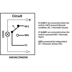 Switch Round Stainless Steel Illuminated (Momentary ON) 12V