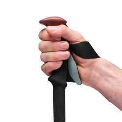 Black Diamond Trail Trekking Poles - Pine Smoke