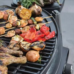 Gasmate Odyssey 2B Trolley Bbq - Black