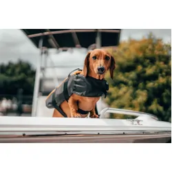 Burke Pet Lifejacket Small