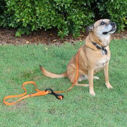 Ground Dogs Pet Lead