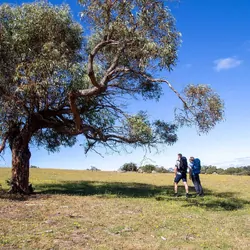 Explore Planet Earth Pegasus 55L Travel Bag Black