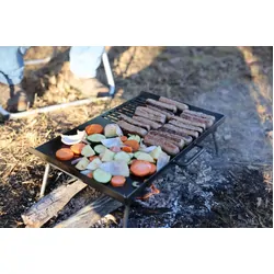 Collapsible BBQ Plate