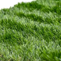 Aussie Traveller XT Mat Green XTend To Suit Pull Out Step