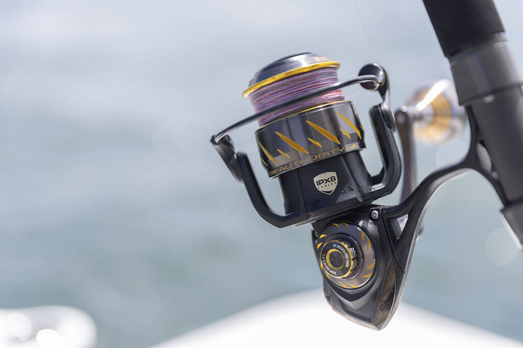 PENN Authority 6500HS Spin Reel | Outback Equipment