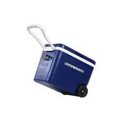 Companion Wheeled Cooler Icebox - 45L