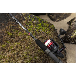 PENN Fierce IV 3000 Spin Reel