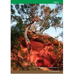 4WD Treks Close to Sydney