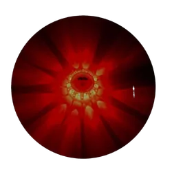 Wildtrak Base 120 Safelight 15 Led 9X3Cm