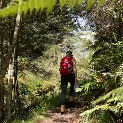 Explore Planet Earth Comet 18L Packable Backpack Black