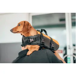Burke Pet Lifejacket Small