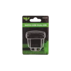 Switch Size Dual Usb