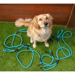 Navigator Dog Leash Buddy