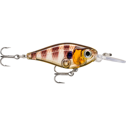 Rapala X-Light Shad 4cm Lure Ayu