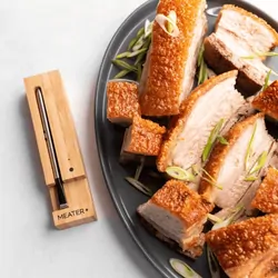 MEATER Plus With Bluetooth Repeater