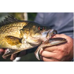 Berkley PowerBait Paddlestinger Soft Plastic 3inch Electric Shad