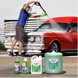 Bowden's Own Snow Job 1L