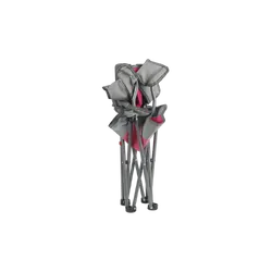 Wildtrak Kidz Camp Chair Pink 100Kg Wr 67X60X38Cm