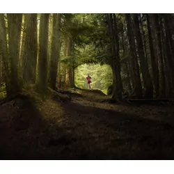 Garmin InReach Mini 2,Flame Red