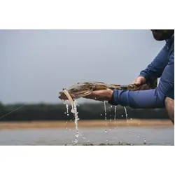 Berkley PowerBait Paddlestinger Soft Plastic 3inch Electric Shad