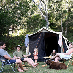 Black Wolf Turbo 240