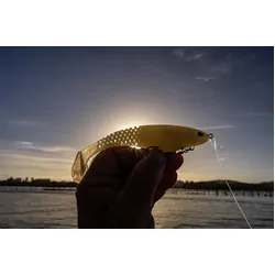 Berkley PowerBait Cullshad Magnum Soft Plastic 6inch Fire Tiger