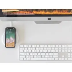 Quad Lock Original Case Iphone 15