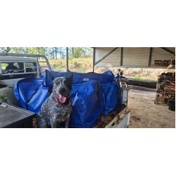 Warra-Nilla Industries Double Swag Bag