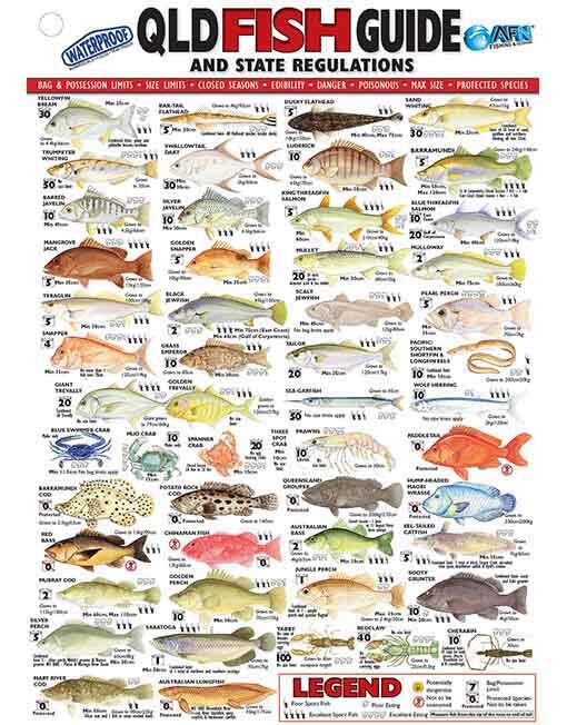 Australian Fishing Network QLD Fish ID Card - Vinyl