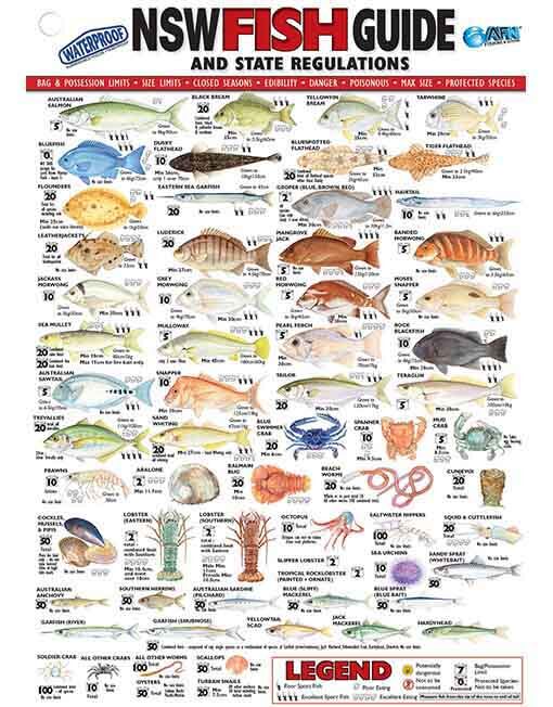 Australian Fishing Network NSW Fish ID Card - Vinyl