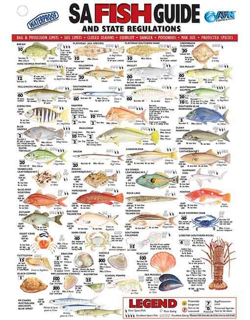 Australian Fishing Network SA Fish ID Card - Vinyl