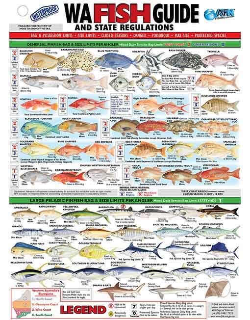 Australian Fishing Network WA Fish ID Card - Vinyl