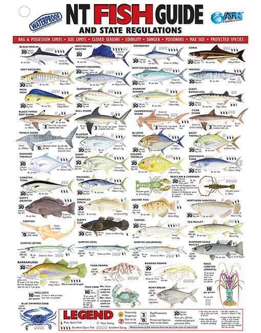 Australian Fishing Network NT Fish ID Card - Vinyl