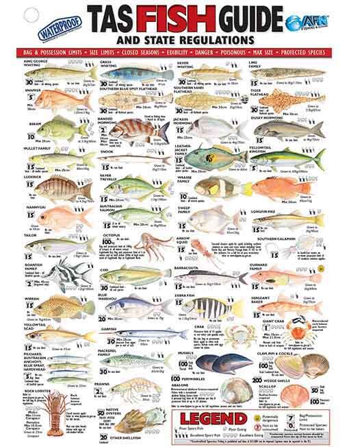 Australian Fishing Network TAS Fish ID Card - Vinyl