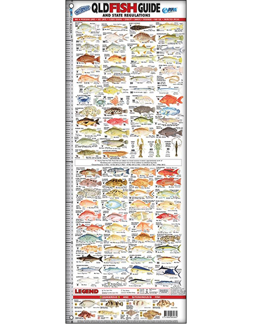 Australian Fishing Network QLD Fish ID Ruler