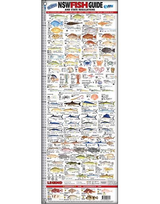 Australian Fishing Network NSW Fish ID Ruler