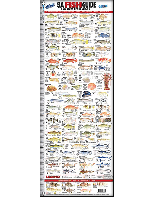 Australian Fishing Network SA Fish ID Ruler